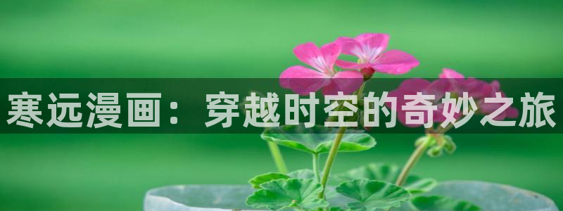 汗汗漫画大全：寒远漫画：穿越时空的奇妙之旅