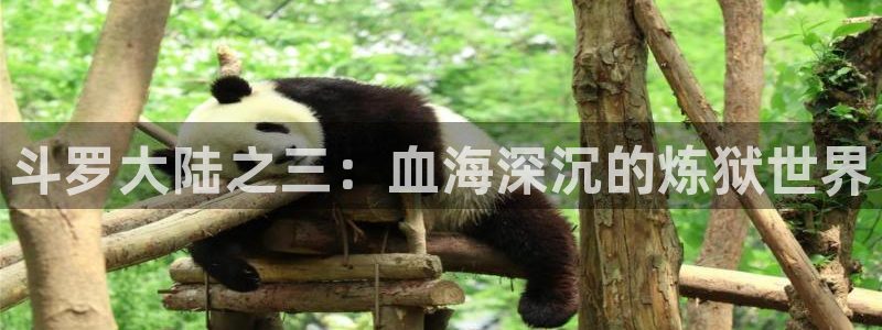 汗汗漫画画免费观看下拉式：斗罗大陆之三：血海深沉的炼狱世界