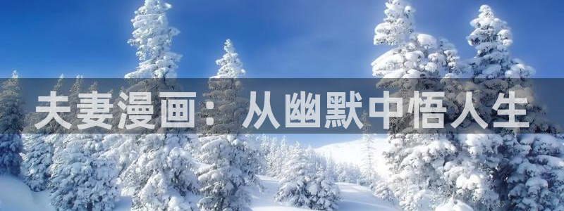 汗汗漫画登录页面：夫妻漫画：从幽默中悟人生