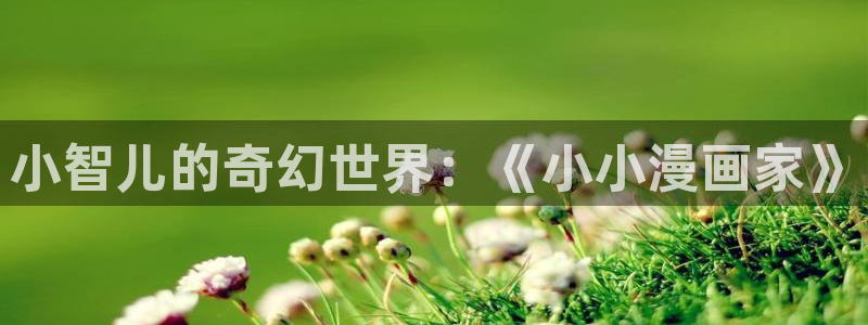 韩国汗汗漫画在线观看：小智儿的奇幻世界：《小小漫画家》