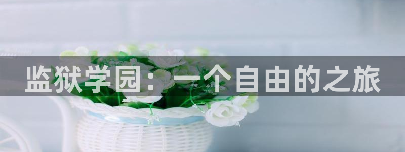 汗汗漫画韩国首页：监狱学园：一个自由的之旅