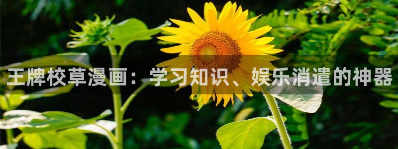 羞羞漫画歪歪汗汗漫画av：王牌校草漫画：学习知识、娱乐消遣的神器