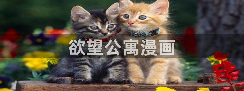 汗汗漫画健身教练：欲望公寓漫画