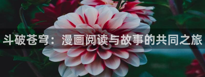 汗汗漫画无翼鸟：斗破苍穹：漫画阅读与故事的共同之旅