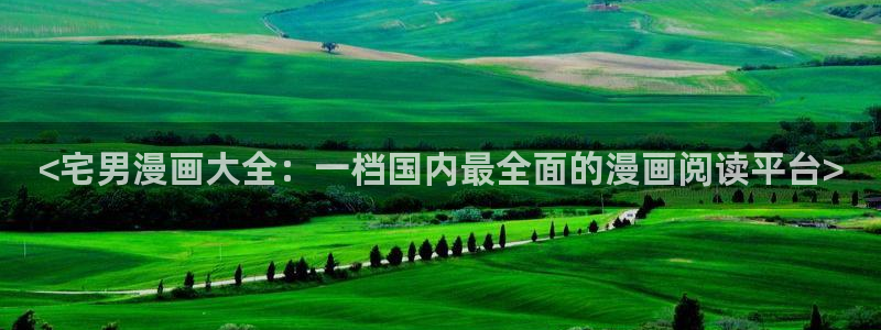 汗汗漫画网app下载：<宅男漫画大全：一档国内最全面的漫画阅读平台>