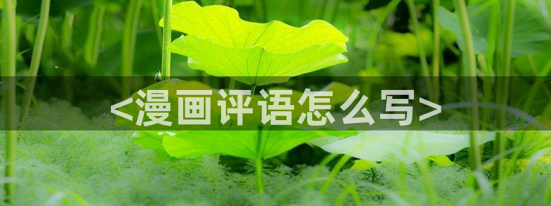汗汗漫画和歪歪漫画sss：<漫画评语怎么写>