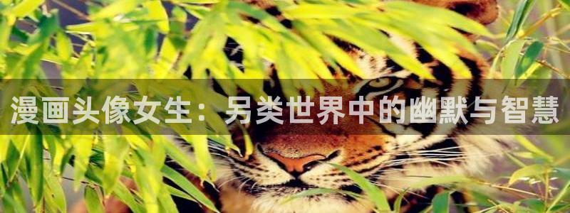 韩国漫画无遮挡汗汗漫画：漫画头像女生：另类世界中的幽默与智慧