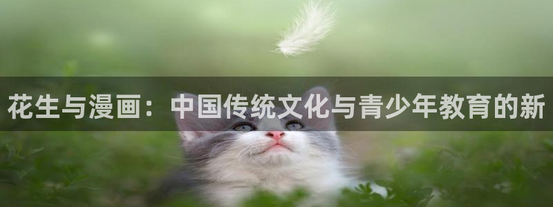 汗汗漫画网址入口：花生与漫画：中国传统文化与青少年教育的新