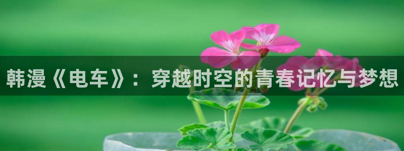 汗汗漫画免费看网站：韩漫《电车》：穿越时空的青春记忆与梦想