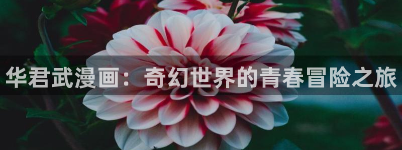 汗汗漫画入口免费：华君武漫画：奇幻世界的青春冒险之旅