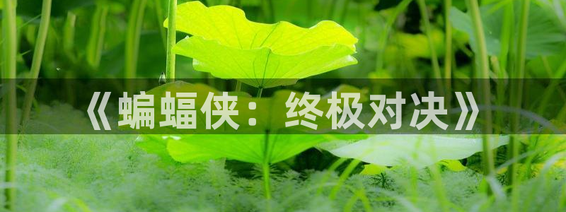 羞羞漫画――汗汗漫画：《蝙蝠侠：终极对决》